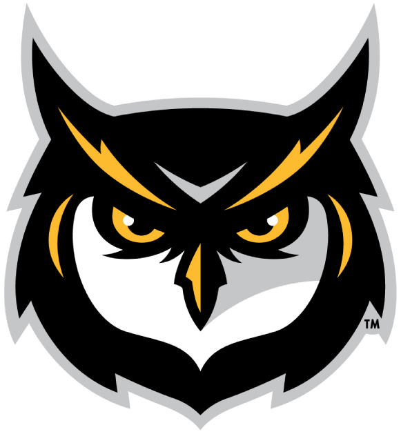 Kennesaw State Owls 2012-Pres Alternate Logo v3 iron on transfers for clothing